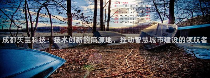 成都矢量科技：技术创新的策源地，推动智慧城市建设的领航者