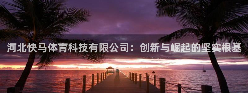 河北快马体育科技有限公司：创新与崛起的坚实根基