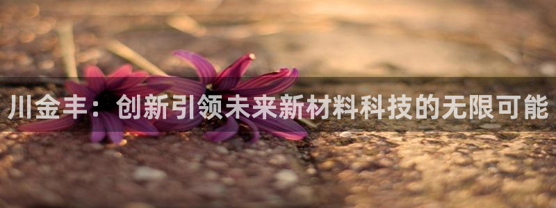 川金丰：创新引领未来新材料科技的无限可能
