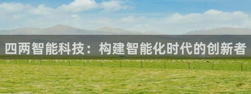 四两智能科技：构建智能化时代的创新者