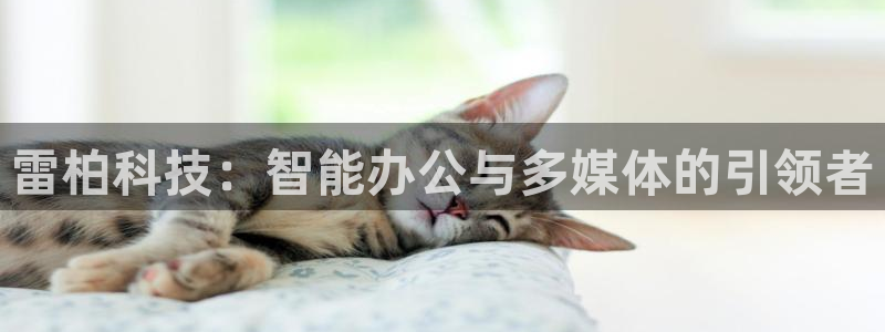 雷柏科技：智能办公与多媒体的引领者