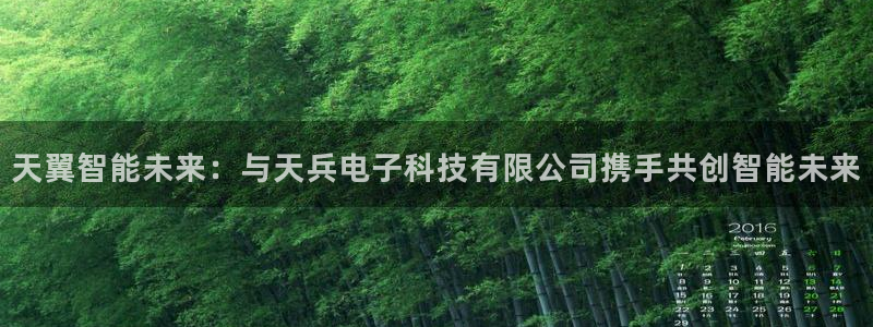 天翼智能未来：与天兵电子科技有限公司携手共创智能未来