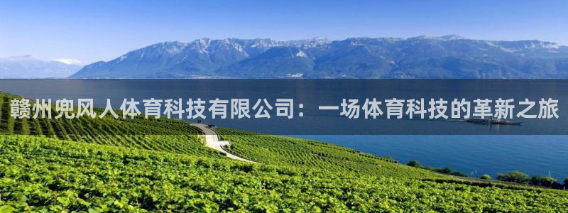 赣州兜风人体育科技有限公司：一场体育科技的革新之旅