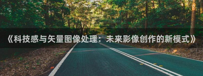 《科技感与矢量图像处理：未来影像创作的新模式》