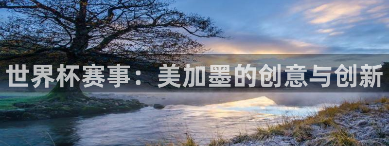 世界杯赛事：美加墨的创意与创新