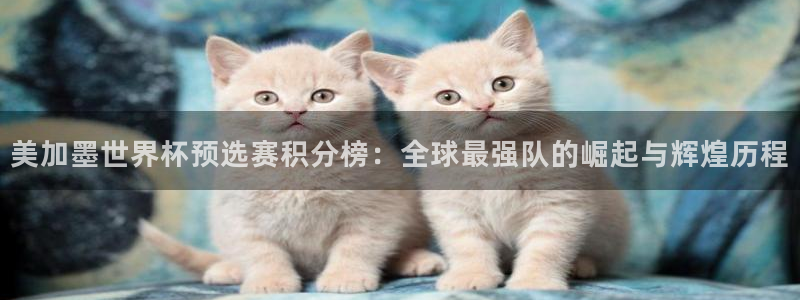 美加墨世界杯预选赛积分榜：全球最强队的崛起与辉煌历程