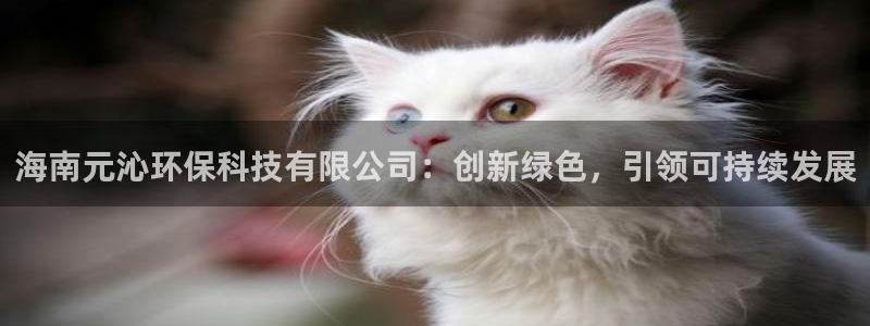 海南元沁环保科技有限公司：创新绿色，引领可持续发展