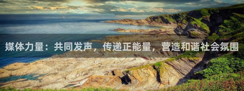 媒体力量：共同发声，传递正能量，营造和谐社会氛围