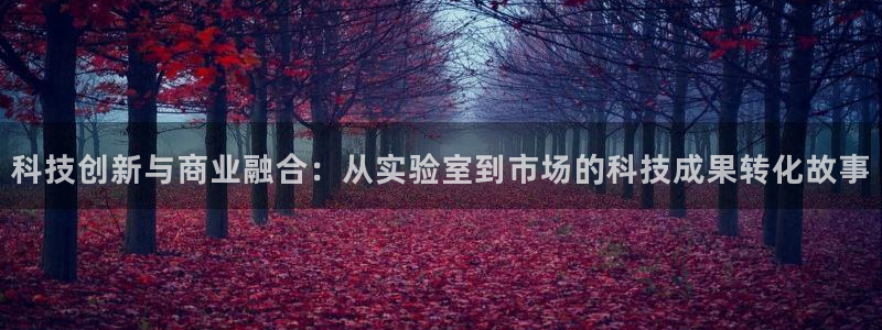 科技创新与商业融合：从实验室到市场的科技成果转化故事