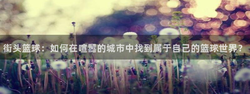 街头篮球：如何在喧嚣的城市中找到属于自己的篮球世界？