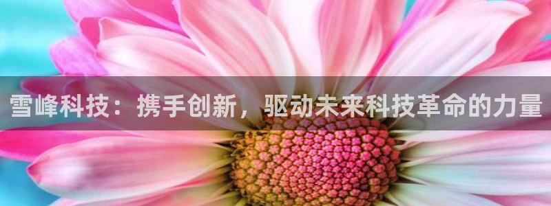雪峰科技：携手创新，驱动未来科技革命的力量