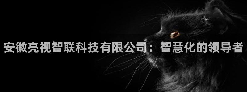 安徽亮视智联科技有限公司：智慧化的领导者