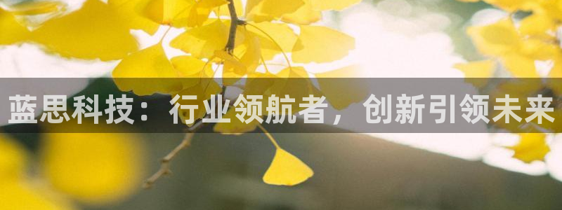 蓝思科技：行业领航者，创新引领未来