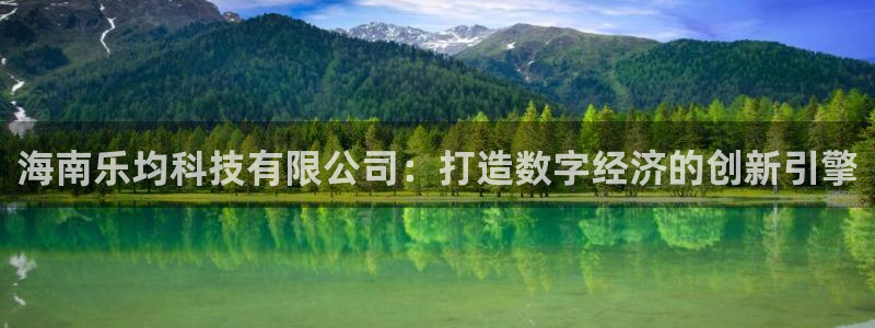 海南乐均科技有限公司：打造数字经济的创新引擎