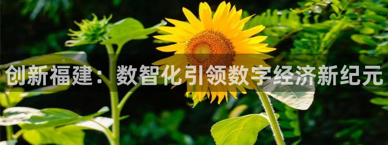 创新福建：数智化引领数字经济新纪元