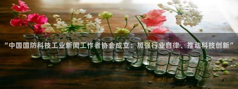 “中国国防科技工业新闻工作者协会成立：加强行业自律、推动科技创新”