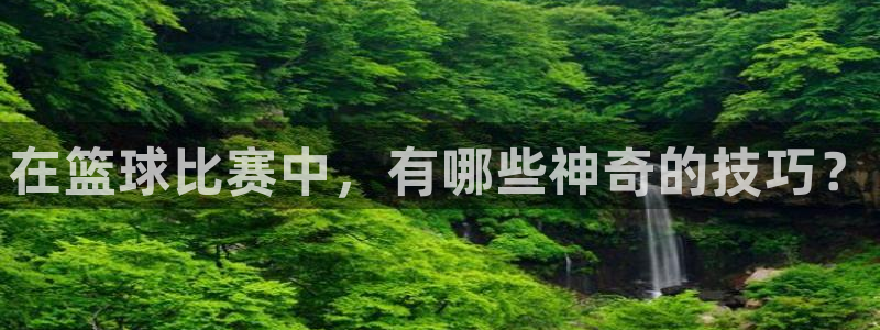 在篮球比赛中，有哪些神奇的技巧？
