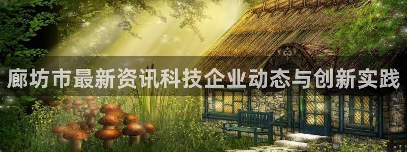 廊坊市最新资讯科技企业动态与创新实践