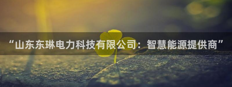 “山东东琳电力科技有限公司：智慧能源提供商”