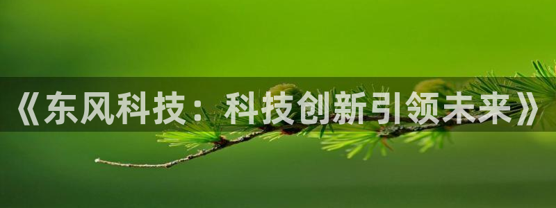 《东风科技：科技创新引领未来》